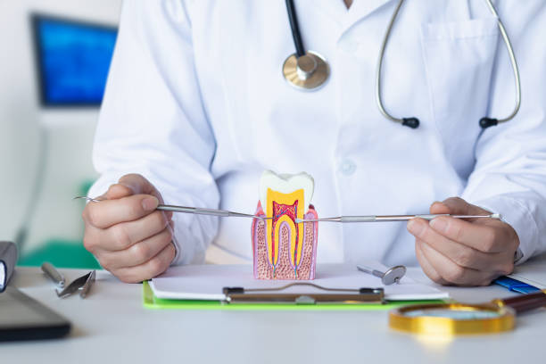Best Emergency Dentist for Lost Fillings or Crowns in Altus, OK